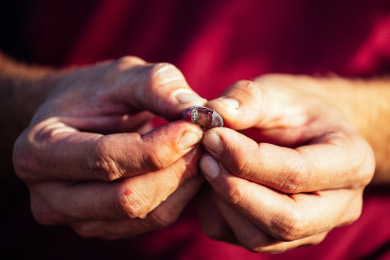 Our teams in Provence